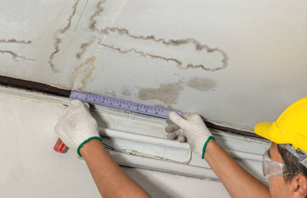 Reliable Burst Pipe Cleanup contractor in Middle Point, OH by Water Damage Irwin